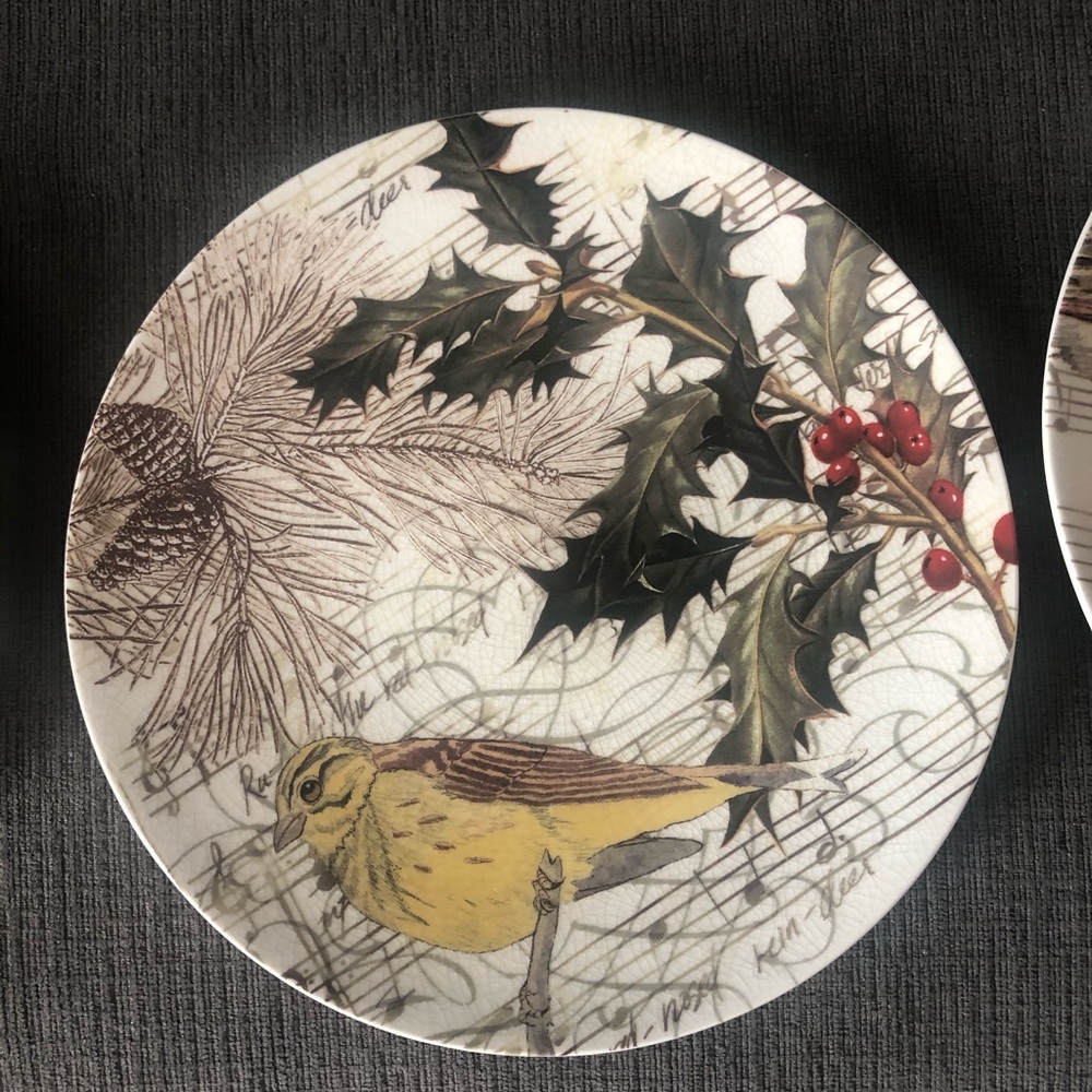 Pottery Barn plates - Picture 5 of 5